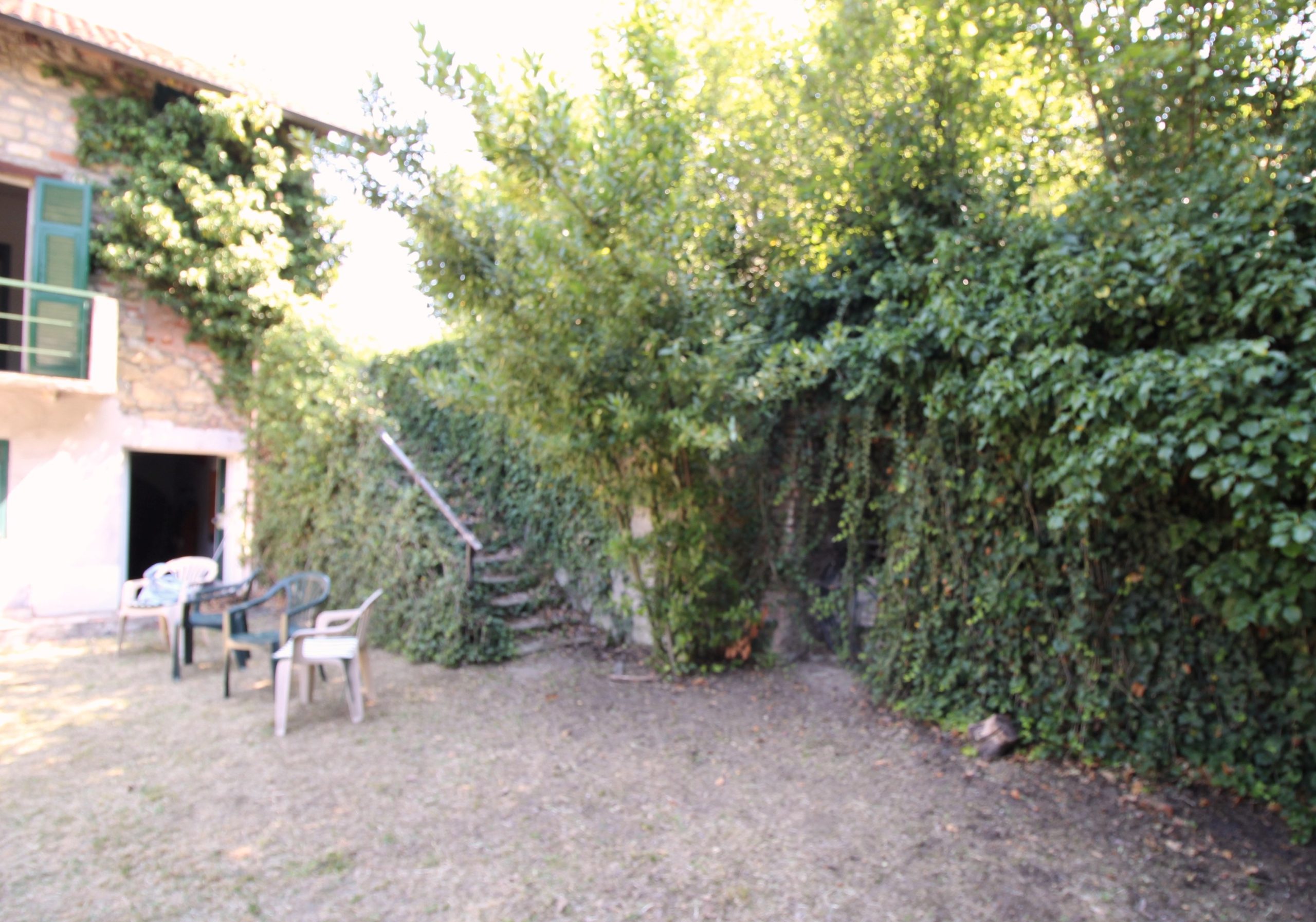 IMG_0139