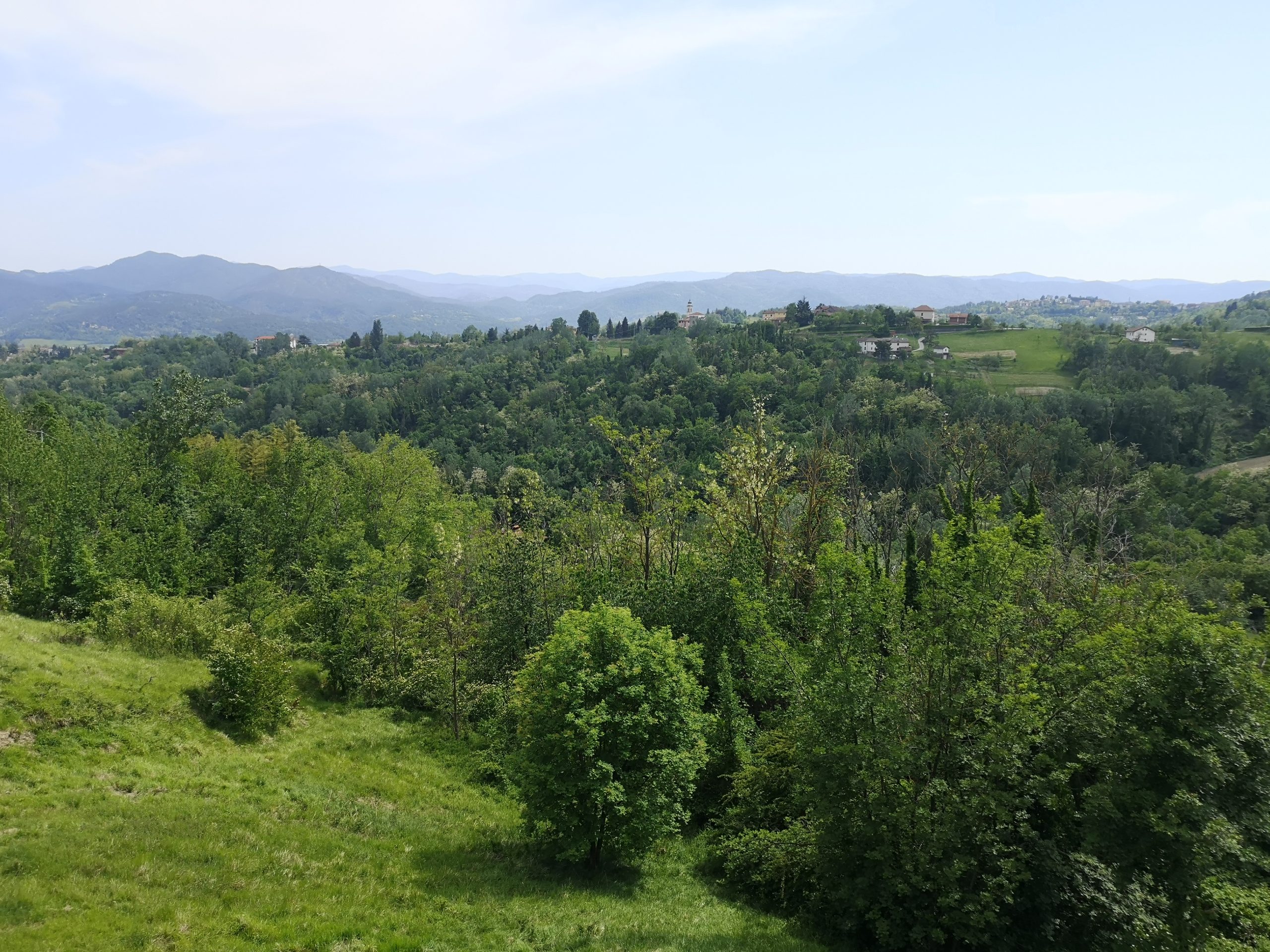 IMG_20220516_152848