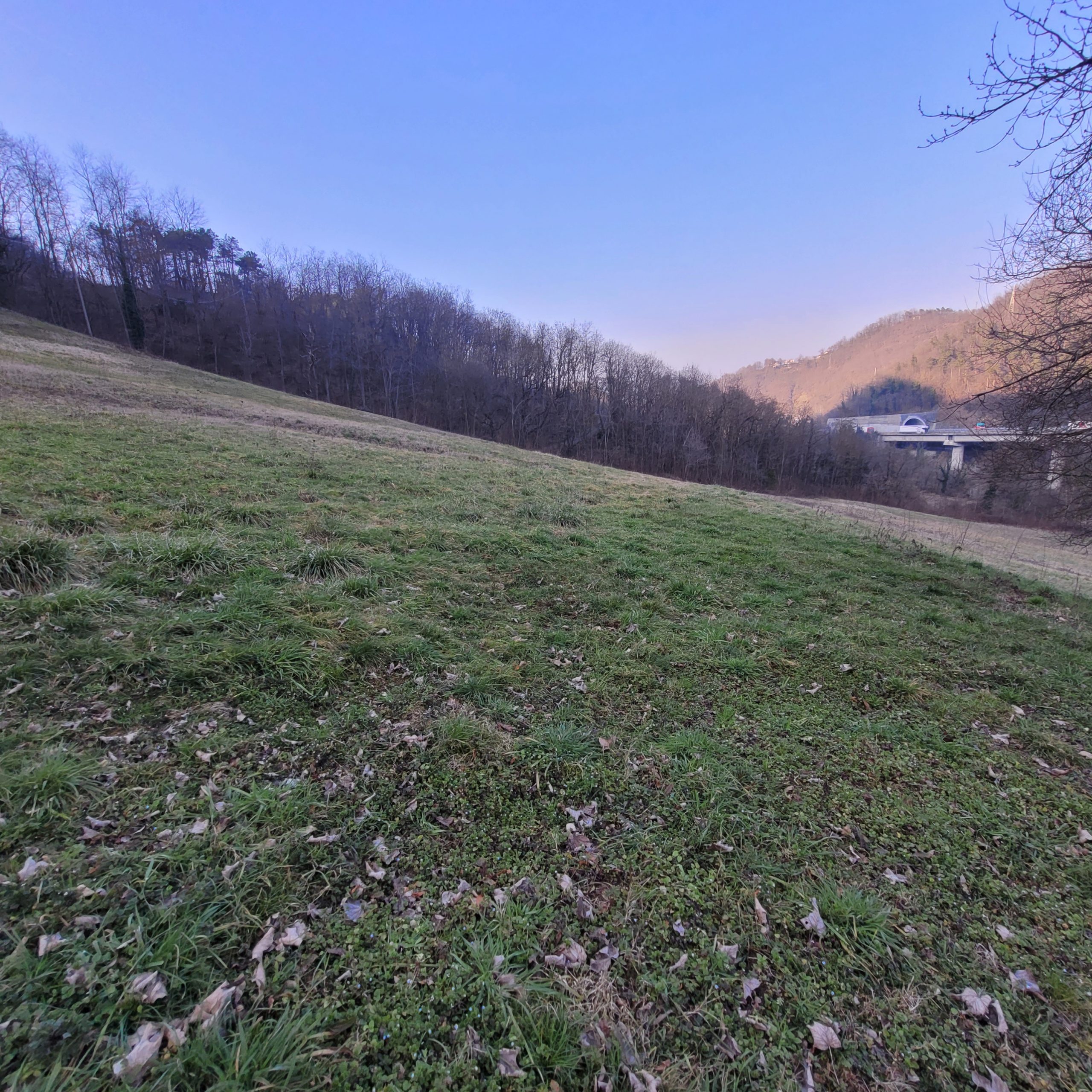 20250220_164205