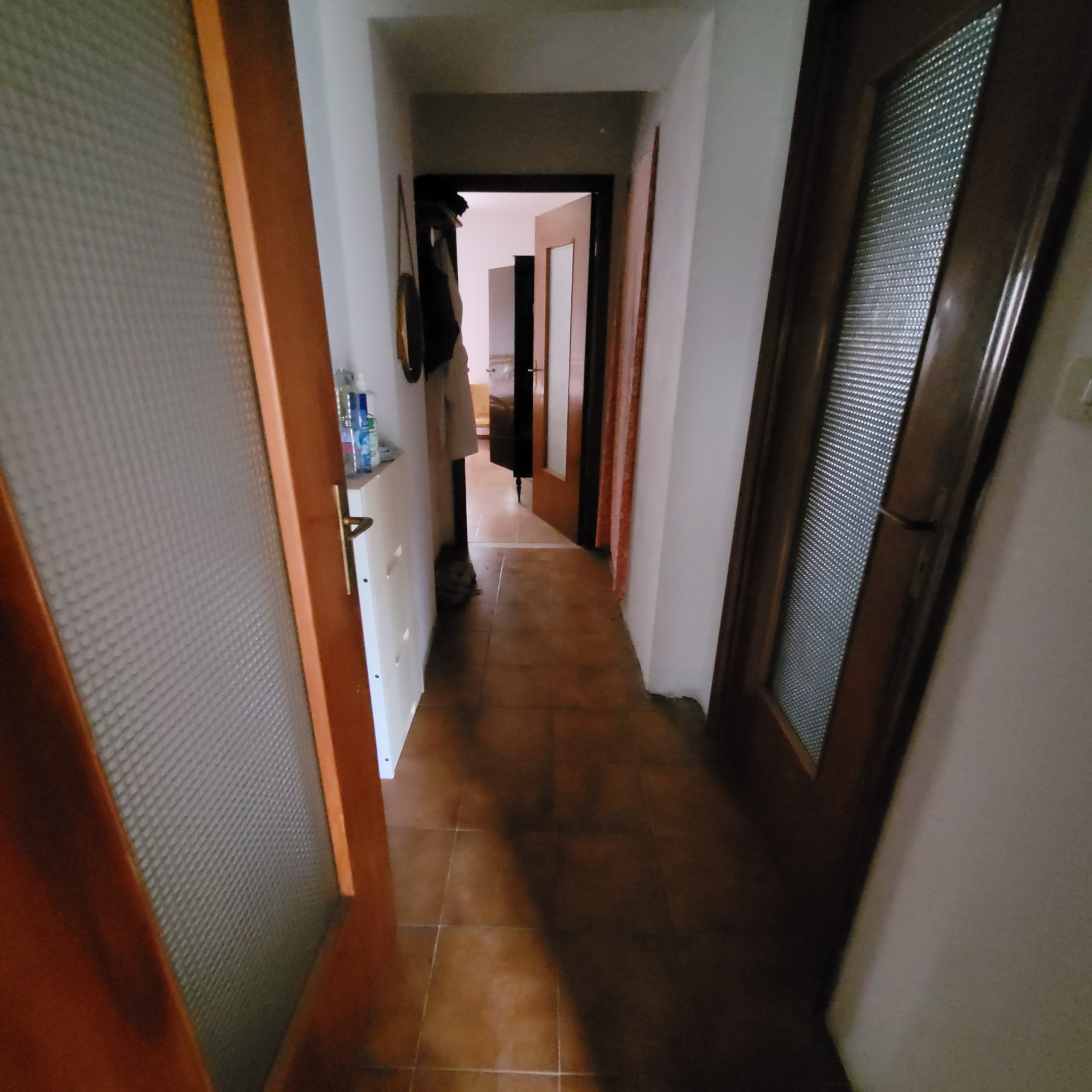 20241129_112621