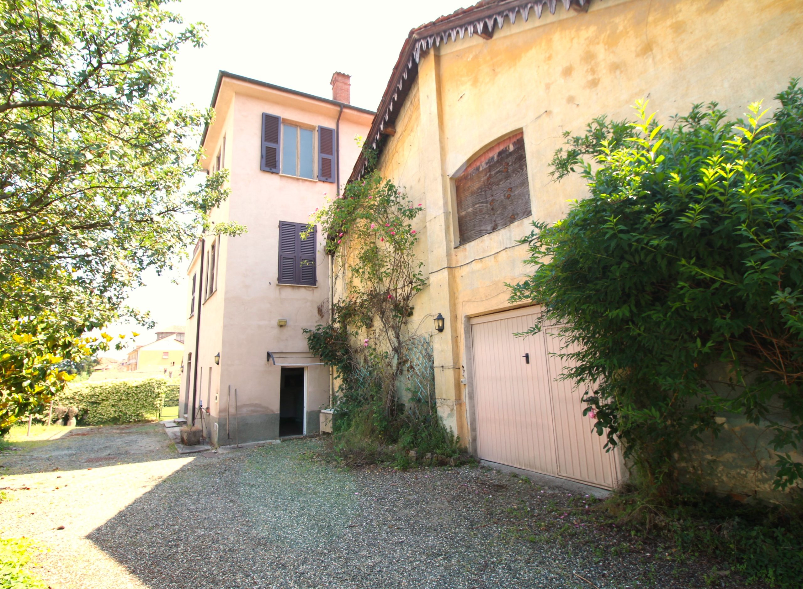IMG_1813