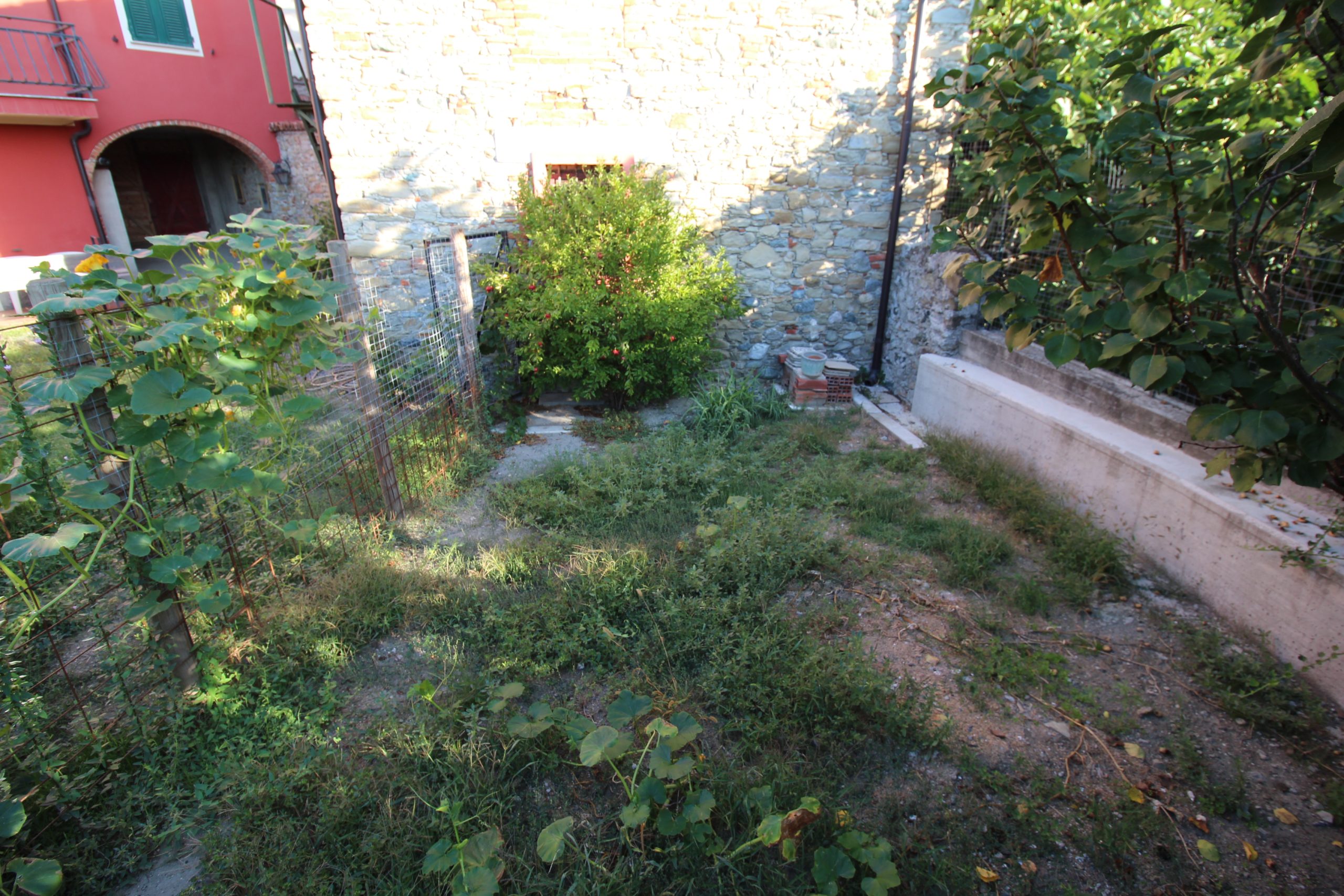 IMG_2082 - Copia